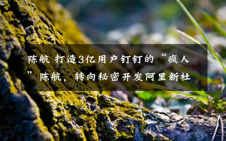 陳航 打造3億用戶釘釘?shù)摹隘側(cè)恕标惡?，轉(zhuǎn)向秘密開發(fā)阿里新社交產(chǎn)品？