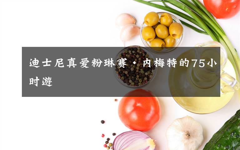 迪士尼真愛粉琳賽·內(nèi)梅特的75小時游