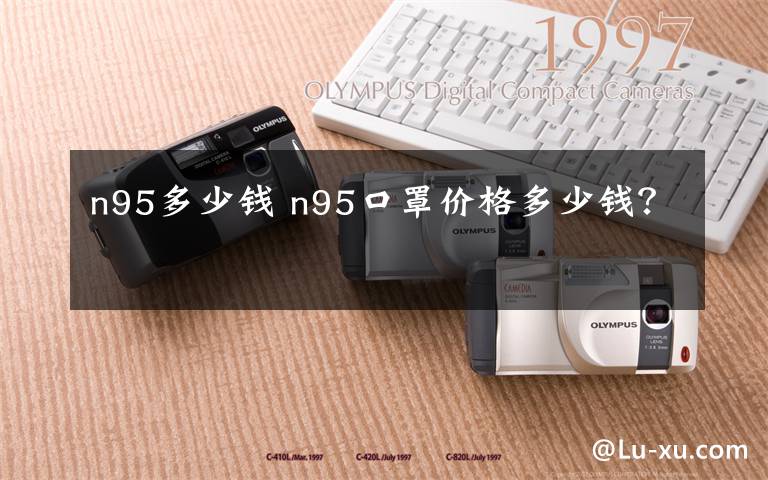 n95多少錢 n95口罩價(jià)格多少錢？