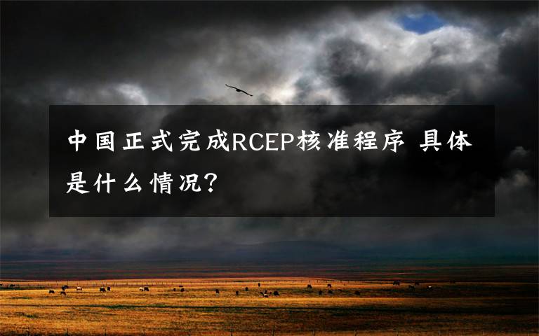 中國正式完成RCEP核準(zhǔn)程序 具體是什么情況？