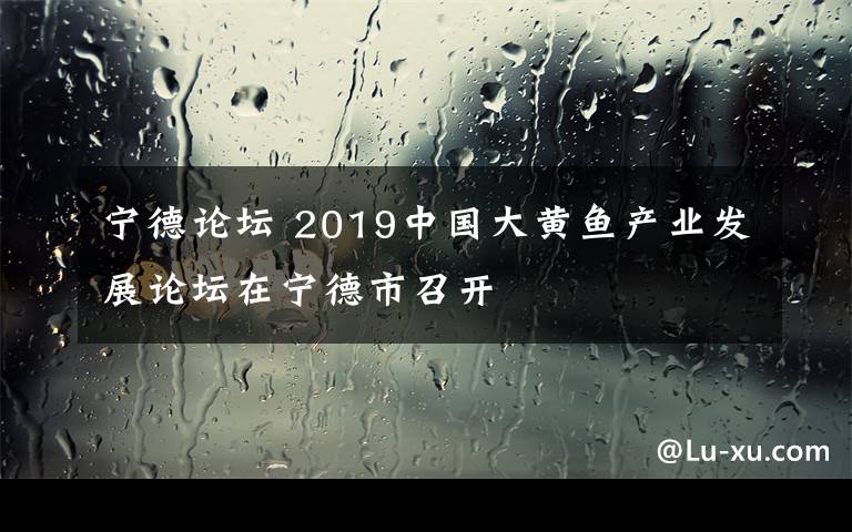 寧德論壇 2019中國大黃魚產(chǎn)業(yè)發(fā)展論壇在寧德市召開