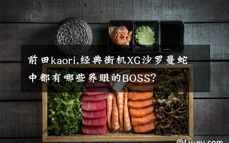 前田kaori,經(jīng)典街機(jī)XG沙羅曼蛇中都有哪些養(yǎng)眼的BOSS？