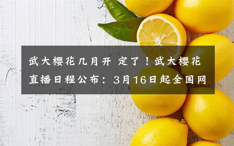 武大櫻花幾月開 定了！武大櫻花直播日程公布：3月16日起全國網(wǎng)友云賞櫻