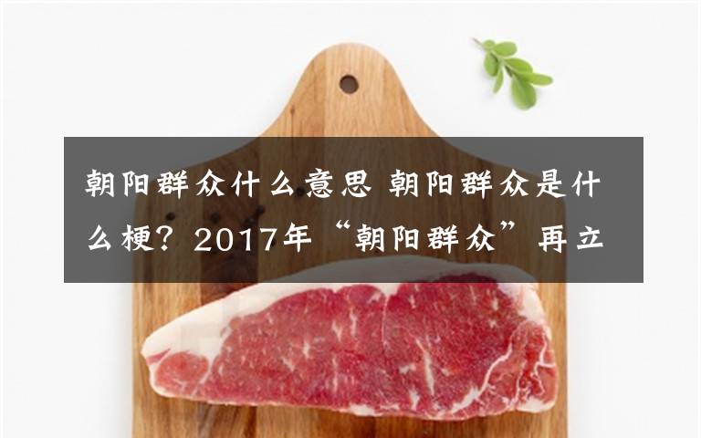 朝陽群眾什么意思 朝陽群眾是什么梗？2017年“朝陽群眾”再立一功