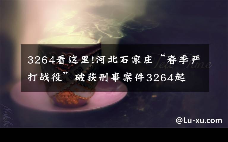 3264看這里!河北石家莊“春季嚴(yán)打戰(zhàn)役”破獲刑事案件3264起