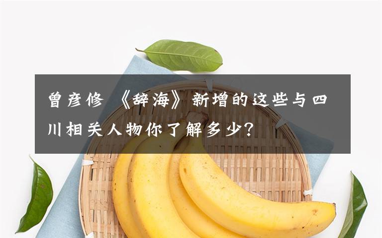 曾彥修 《辭?！沸略龅倪@些與四川相關(guān)人物你了解多少？