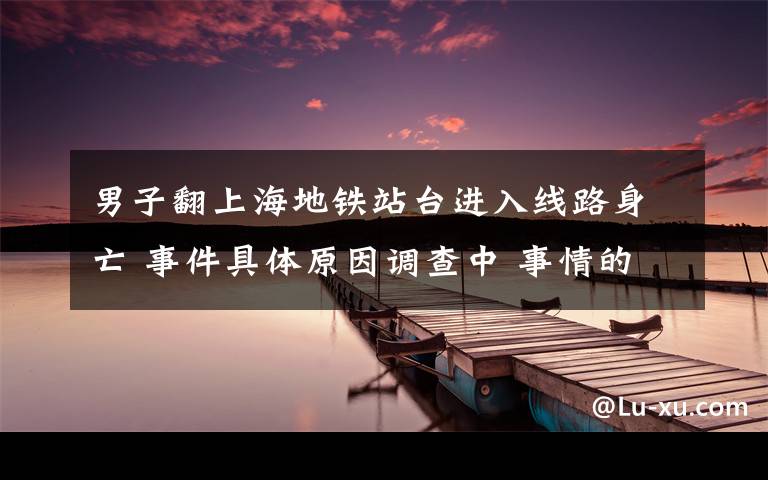 男子翻上海地鐵站臺(tái)進(jìn)入線路身亡 事件具體原因調(diào)查中 事情的詳情始末是怎么樣了！