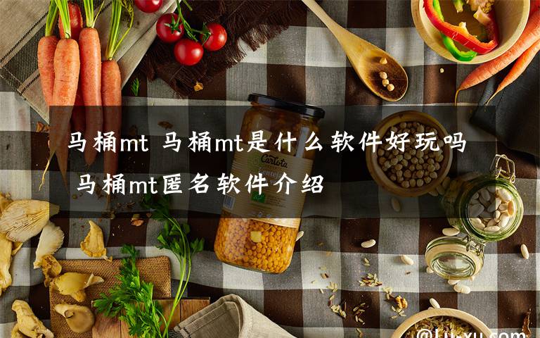 馬桶mt 馬桶mt是什么軟件好玩嗎 馬桶mt匿名軟件介紹