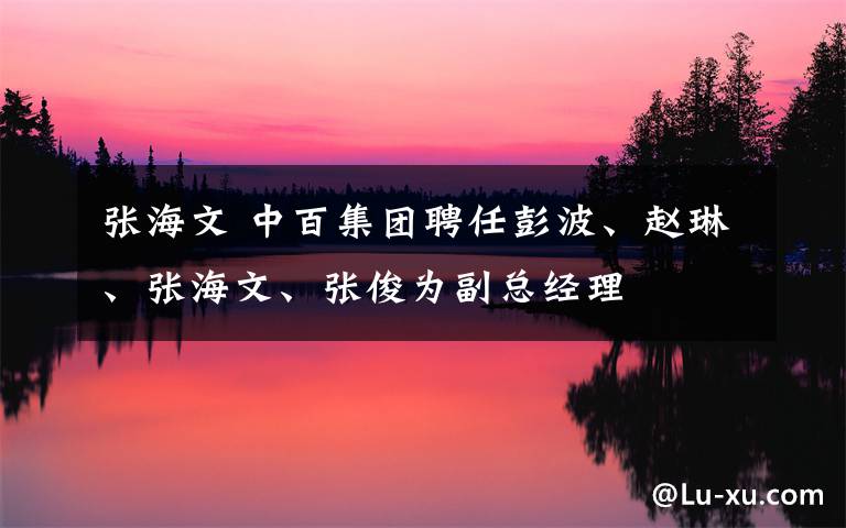 張海文 中百集團聘任彭波、趙琳、張海文、張俊為副總經理