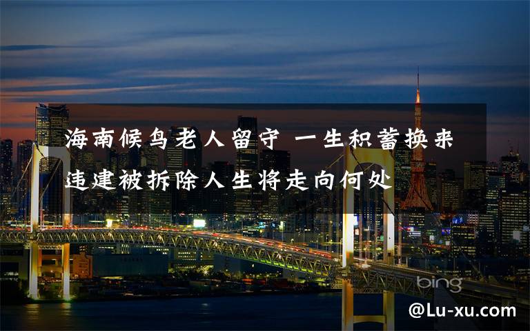 海南候鳥(niǎo)老人留守 一生積蓄換來(lái)違建被拆除人生將走向何處