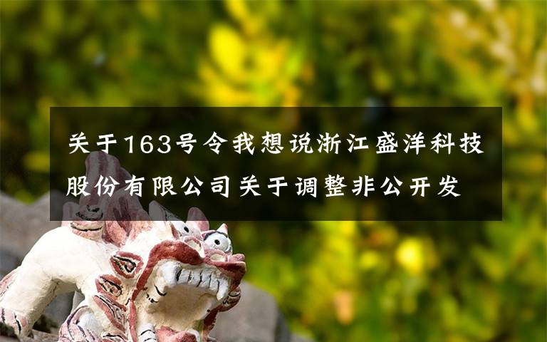 關(guān)于163號(hào)令我想說(shuō)浙江盛洋科技股份有限公司關(guān)于調(diào)整非公開發(fā)行A股股票方案的公告