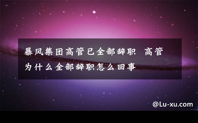 暴風集團高管已全部辭職  高管為什么全部辭職怎么回事