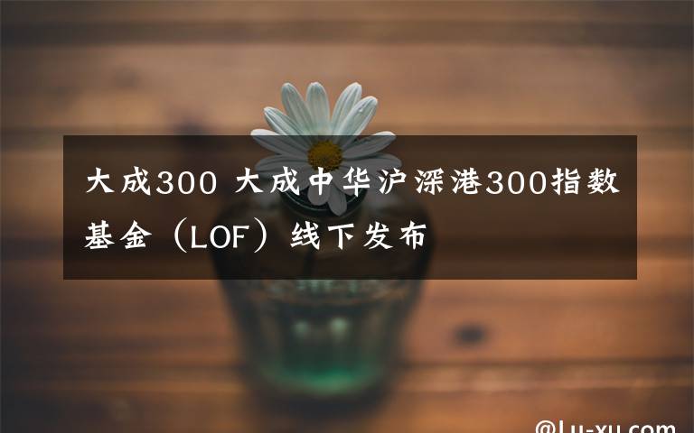 大成300 大成中華滬深港300指數(shù)基金（LOF）線下發(fā)布