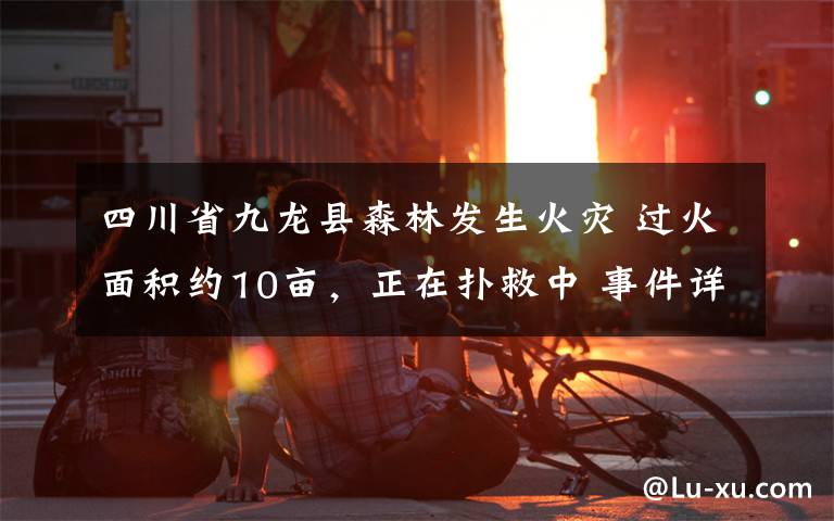 四川省九龍縣森林發(fā)生火災(zāi) 過火面積約10畝，正在撲救中 事件詳情始末介紹！