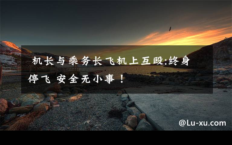  機(jī)長(zhǎng)與乘務(wù)長(zhǎng)飛機(jī)上互毆:終身停飛 安全無小事！