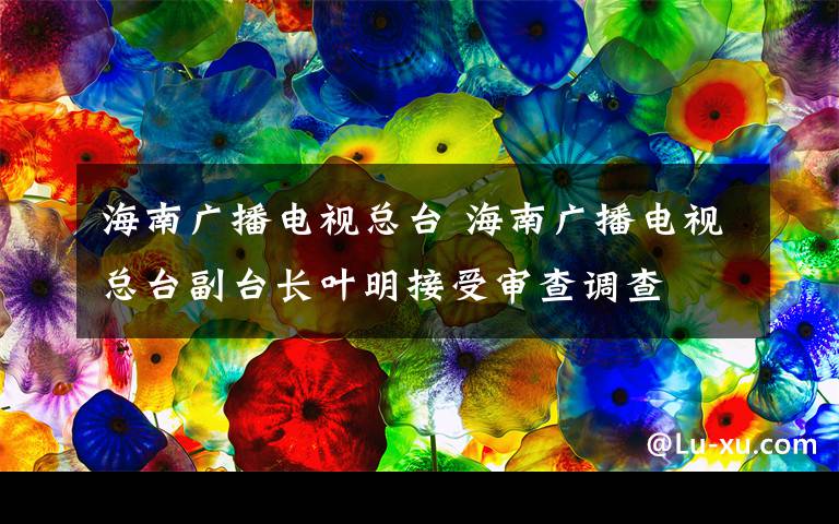 海南廣播電視總臺 海南廣播電視總臺副臺長葉明接受審查調(diào)查