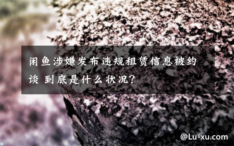 閑魚涉嫌發(fā)布違規(guī)租賃信息被約談 到底是什么狀況？