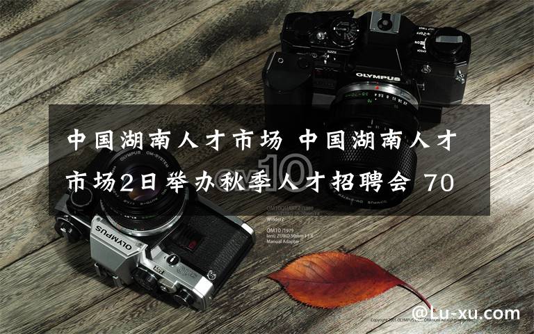 中國湖南人才市場 中國湖南人才市場2日舉辦秋季人才招聘會 7000崗位招賢納士