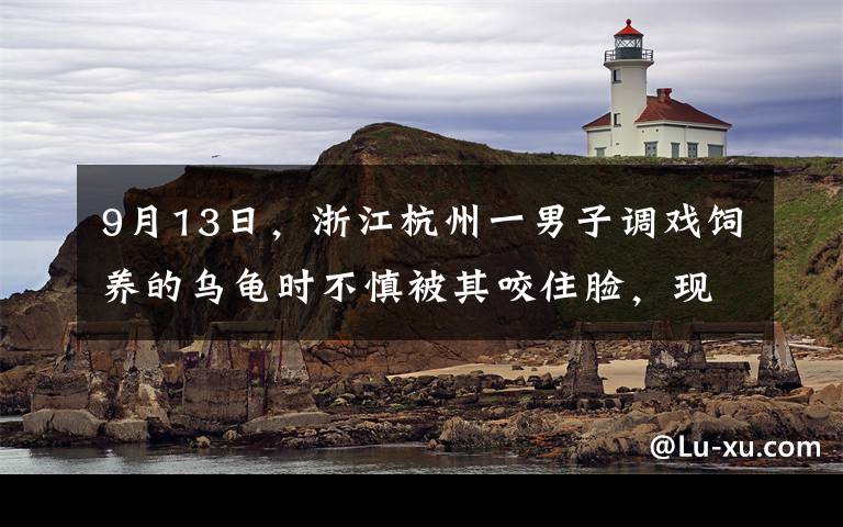 9月13日，浙江杭州一男子調(diào)戲飼養(yǎng)的烏龜時不慎被其咬住臉，現(xiàn)場一幕令人又心疼又好笑。