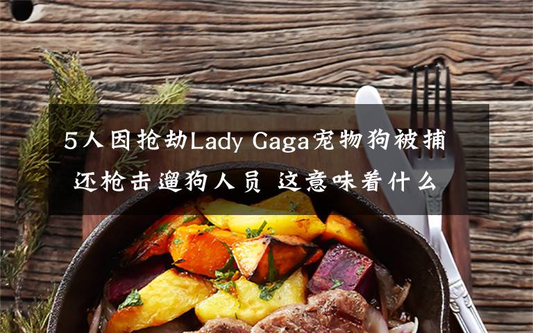 5人因搶劫Lady Gaga寵物狗被捕 還槍擊遛狗人員 這意味著什么?