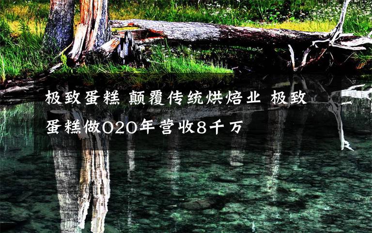 極致蛋糕 顛覆傳統(tǒng)烘焙業(yè) 極致蛋糕做O2O年?duì)I收8千萬