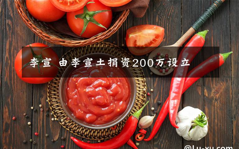 李宣 由李宣土捐資200萬設(shè)立