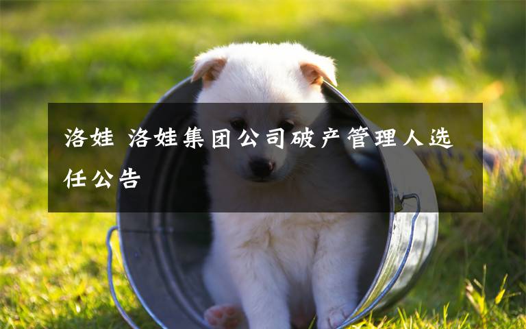 洛娃 洛娃集團公司破產(chǎn)管理人選任公告