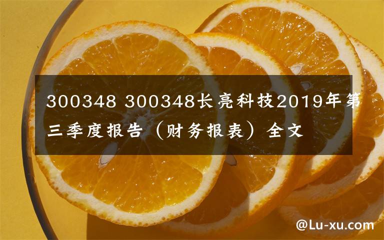 300348 300348長亮科技2019年第三季度報告（財務(wù)報表）全文