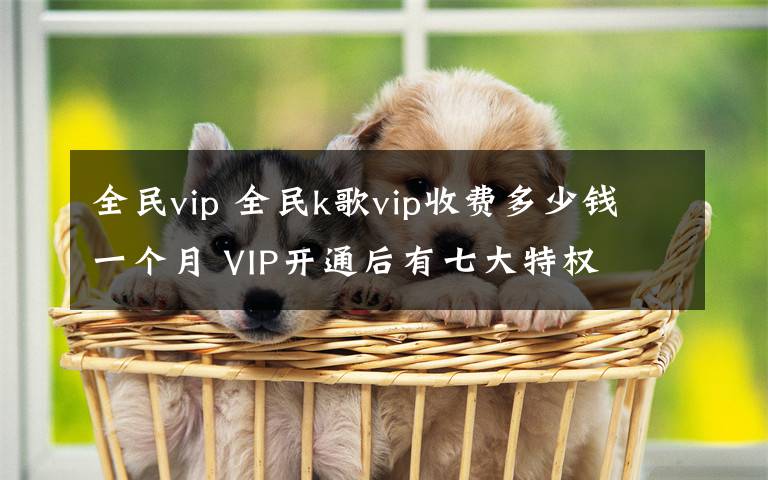 全民vip 全民k歌vip收費多少錢一個月 VIP開通后有七大特權