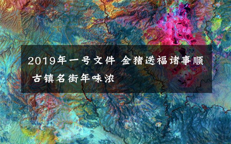 2019年一號文件 金豬送福諸事順 古鎮(zhèn)名街年味濃