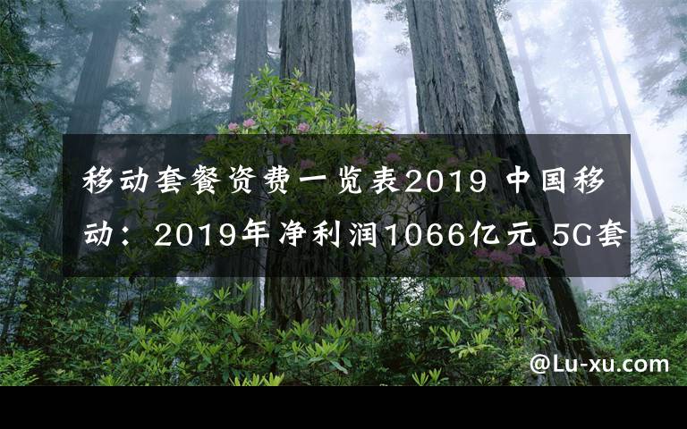 移動(dòng)套餐資費(fèi)一覽表2019 中國(guó)移動(dòng)：2019年凈利潤(rùn)1066億元 5G套餐客戶達(dá)1540萬(wàn)戶