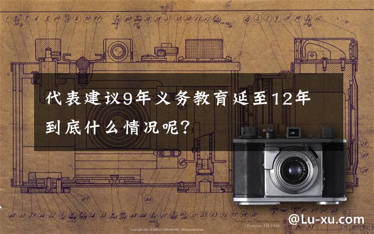 代表建議9年義務(wù)教育延至12年 到底什么情況呢？