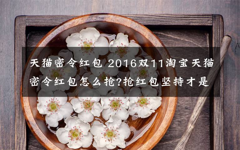 天貓密令紅包 2016雙11淘寶天貓密令紅包怎么搶?搶紅包堅持才是硬道理