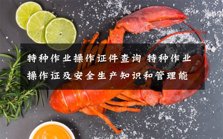 特種作業(yè)操作證件查詢 特種作業(yè)操作證及安全生產(chǎn)知識(shí)和管理能力考核合格證查詢方式及地址