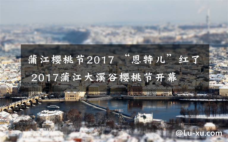 蒲江櫻桃節(jié)2017 “恩特兒”紅了 2017蒲江大溪谷櫻桃節(jié)開幕