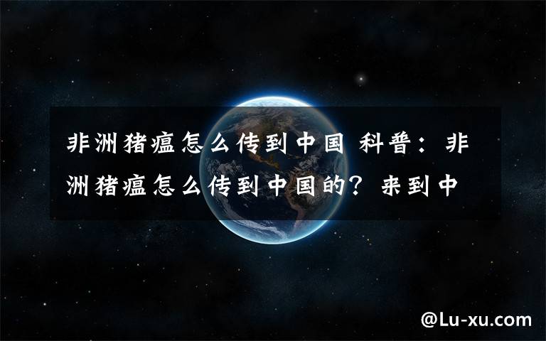 非洲豬瘟怎么傳到中國(guó) 科普：非洲豬瘟怎么傳到中國(guó)的？來(lái)到中國(guó)原因