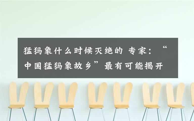 猛犸象什么時(shí)候滅絕的 專家：“中國(guó)猛犸象故鄉(xiāng)”最有可能揭開(kāi)猛犸象滅絕謎底