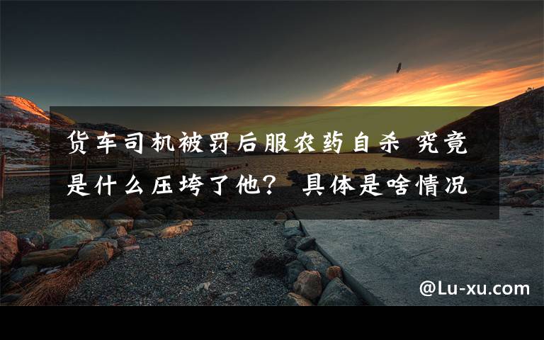 貨車司機(jī)被罰后服農(nóng)藥自殺 究竟是什么壓垮了他？ 具體是啥情況?