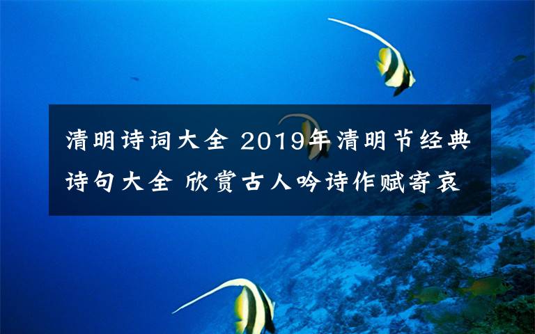 清明詩詞大全 2019年清明節(jié)經(jīng)典詩句大全 欣賞古人吟詩作賦寄哀思