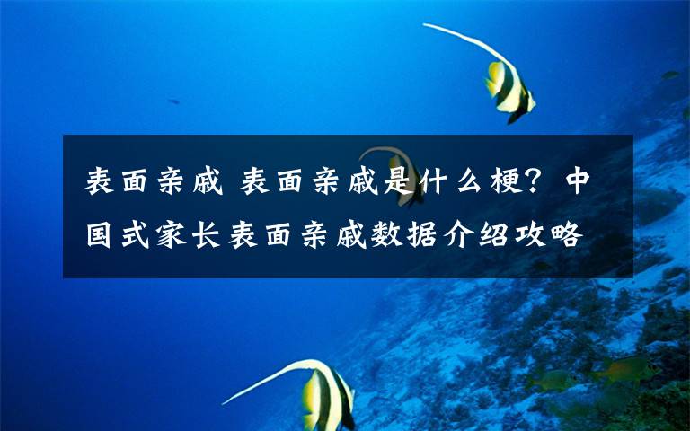 表面親戚 表面親戚是什么梗？中國式家長表面親戚數據介紹攻略