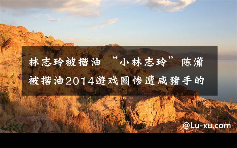 林志玲被揩油 “小林志玲”陳瀟被揩油2014游戲圈慘遭咸豬手的女神