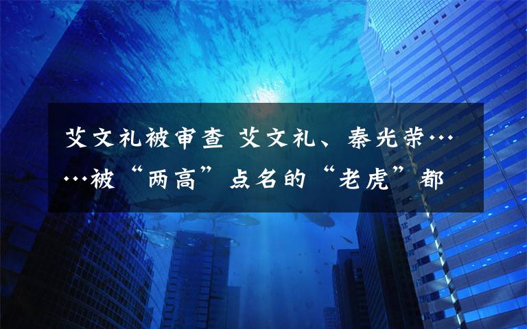 艾文禮被審查 艾文禮、秦光榮……被“兩高”點(diǎn)名的“老虎”都是誰？