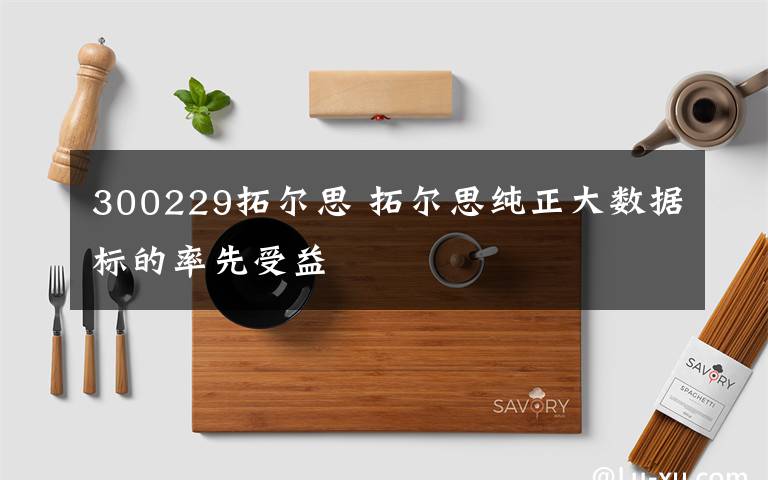 300229拓爾思 拓爾思純正大數(shù)據(jù)標(biāo)的率先受益