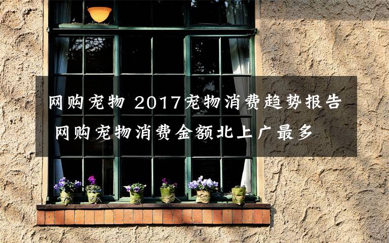 網(wǎng)購寵物 2017寵物消費趨勢報告 網(wǎng)購寵物消費金額北上廣最多