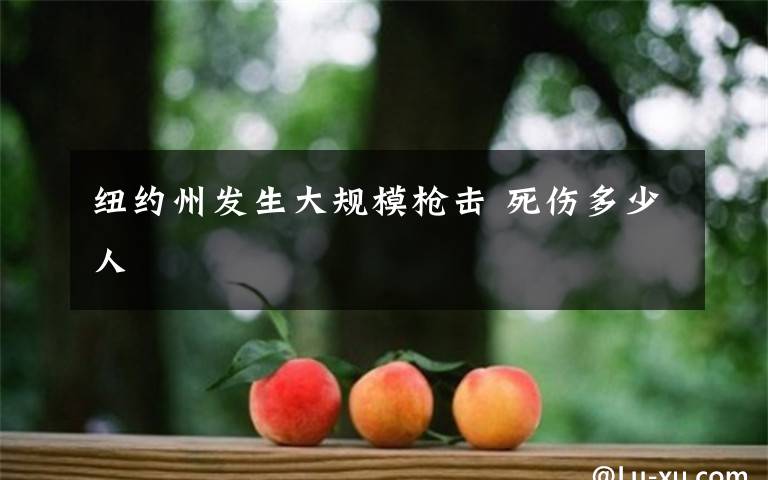 紐約州發(fā)生大規(guī)模槍擊 死傷多少人