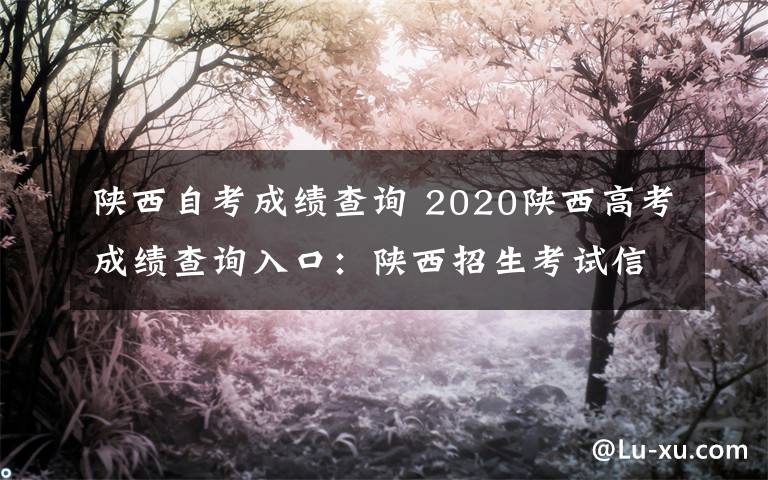 陜西自考成績(jī)查詢 2020陜西高考成績(jī)查詢?nèi)肟冢宏兾髡猩荚囆畔⒕W(wǎng)官網(wǎng)