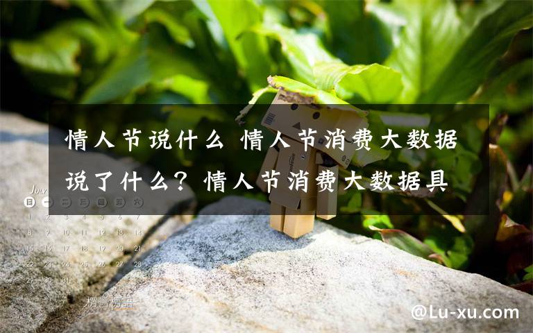 情人節(jié)說什么 情人節(jié)消費(fèi)大數(shù)據(jù)說了什么？情人節(jié)消費(fèi)大數(shù)據(jù)具體內(nèi)容一覽