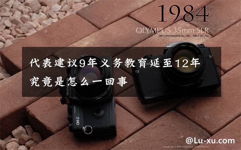 代表建議9年義務(wù)教育延至12年 究竟是怎么一回事