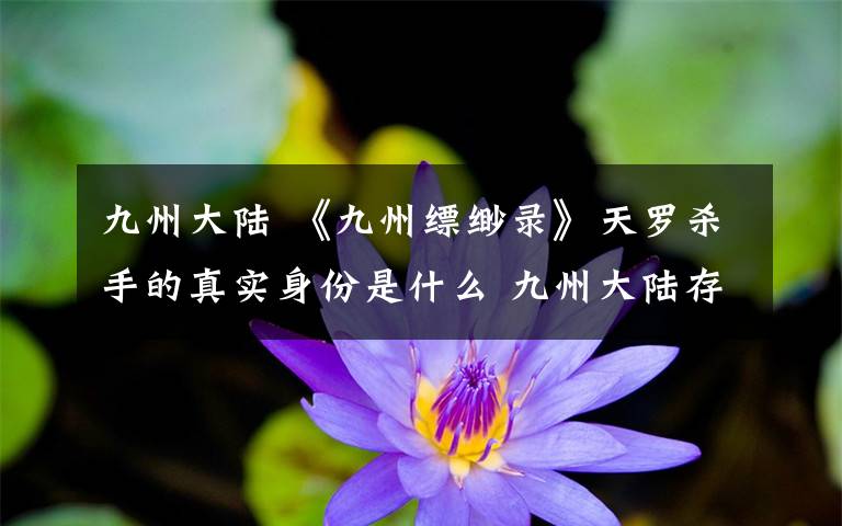 九州大陸 《九州縹緲錄》天羅殺手的真實身份是什么 九州大陸存在三大在野勢力