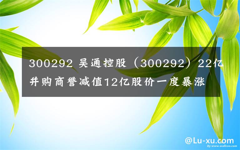 300292 吳通控股（300292）22億并購商譽(yù)減值12億股價(jià)一度暴漲10倍